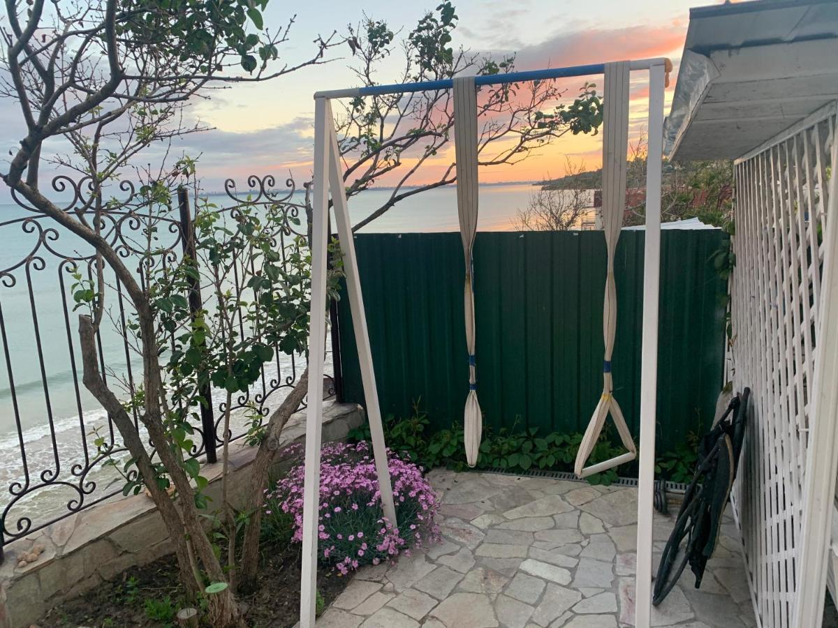 Guest House Dacha Nova Dofinivka エクステリア 写真