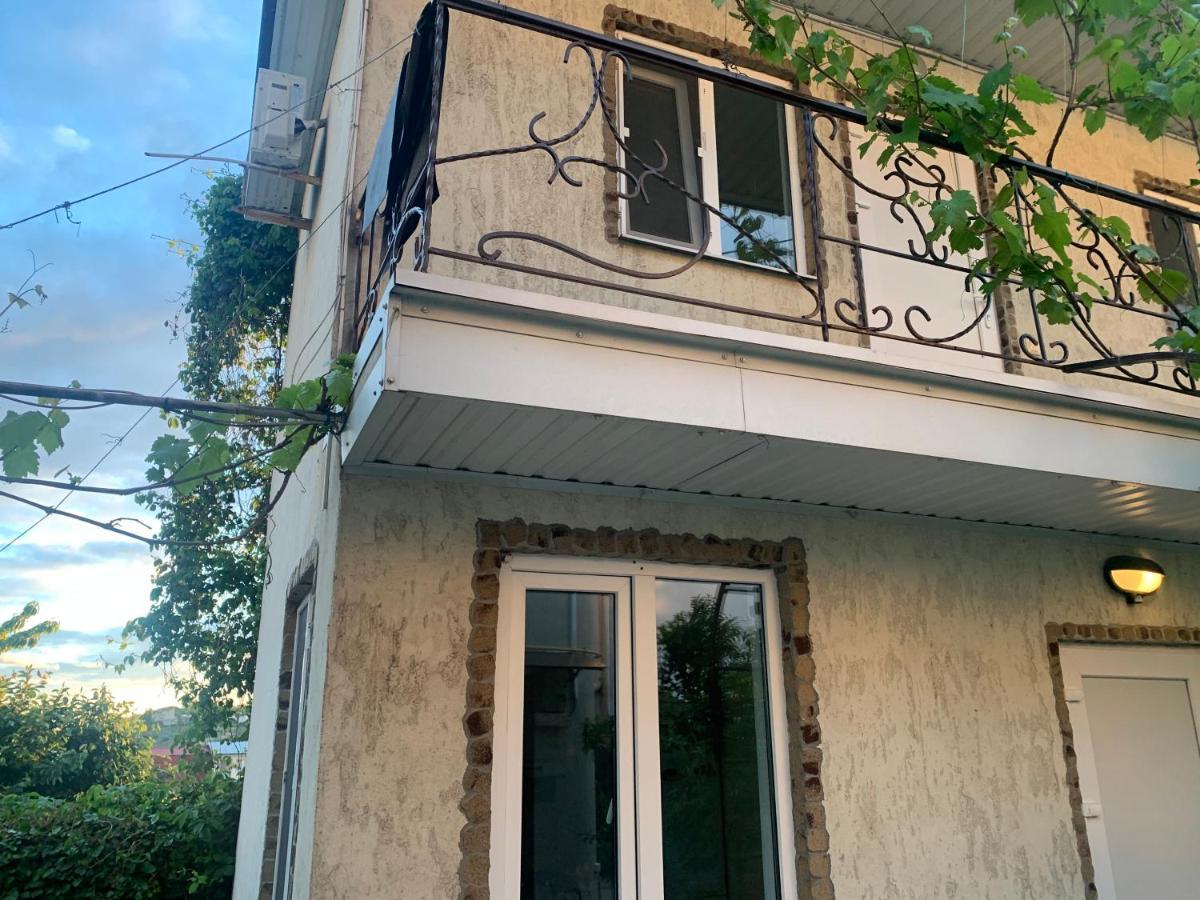 Guest House Dacha Nova Dofinivka エクステリア 写真