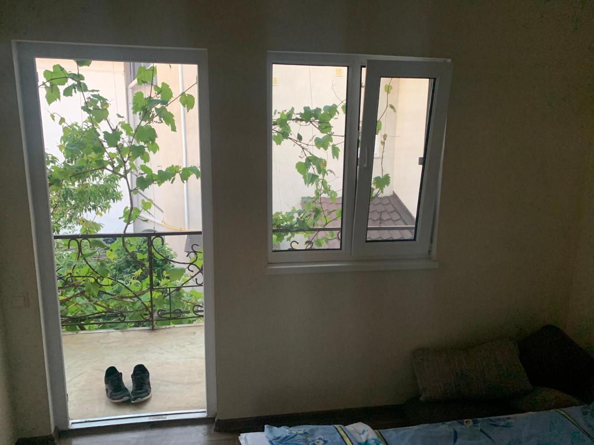 Guest House Dacha Nova Dofinivka エクステリア 写真