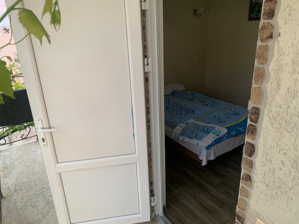 Guest House Dacha Nova Dofinivka エクステリア 写真